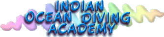 Link to Indian Ocean Diving Academy